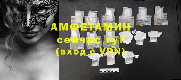 твердый Арсеньев