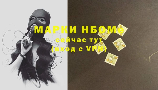прущие грибы Аркадак