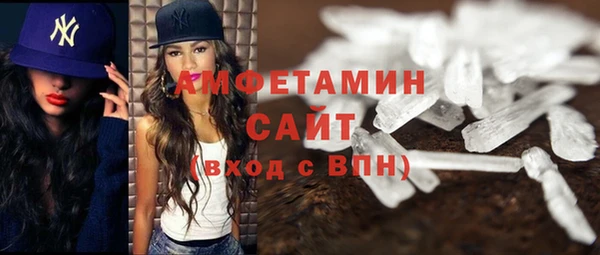 прущие грибы Аркадак