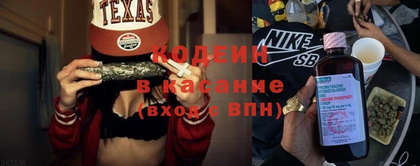 твердый Арсеньев
