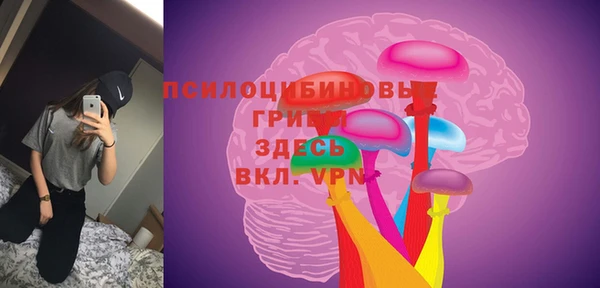 твердый Арсеньев