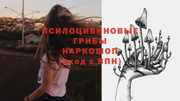 прущие грибы Аркадак