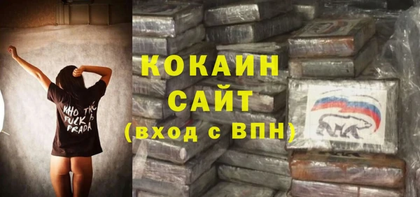 прущие грибы Аркадак