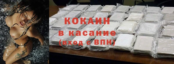 твердый Арсеньев