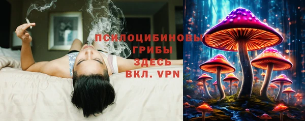 твердый Арсеньев