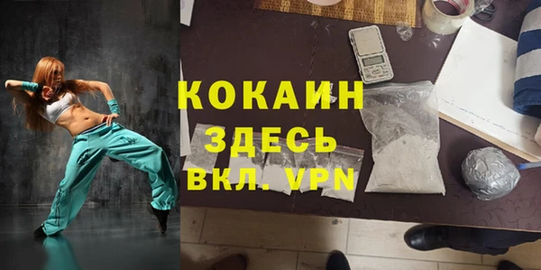 прущие грибы Аркадак