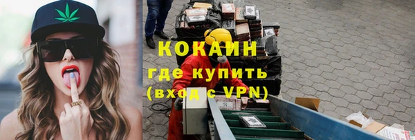 прущие грибы Аркадак
