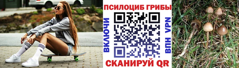 Псилоцибиновые грибы MAGIC MUSHROOMS  Мариинский Посад 